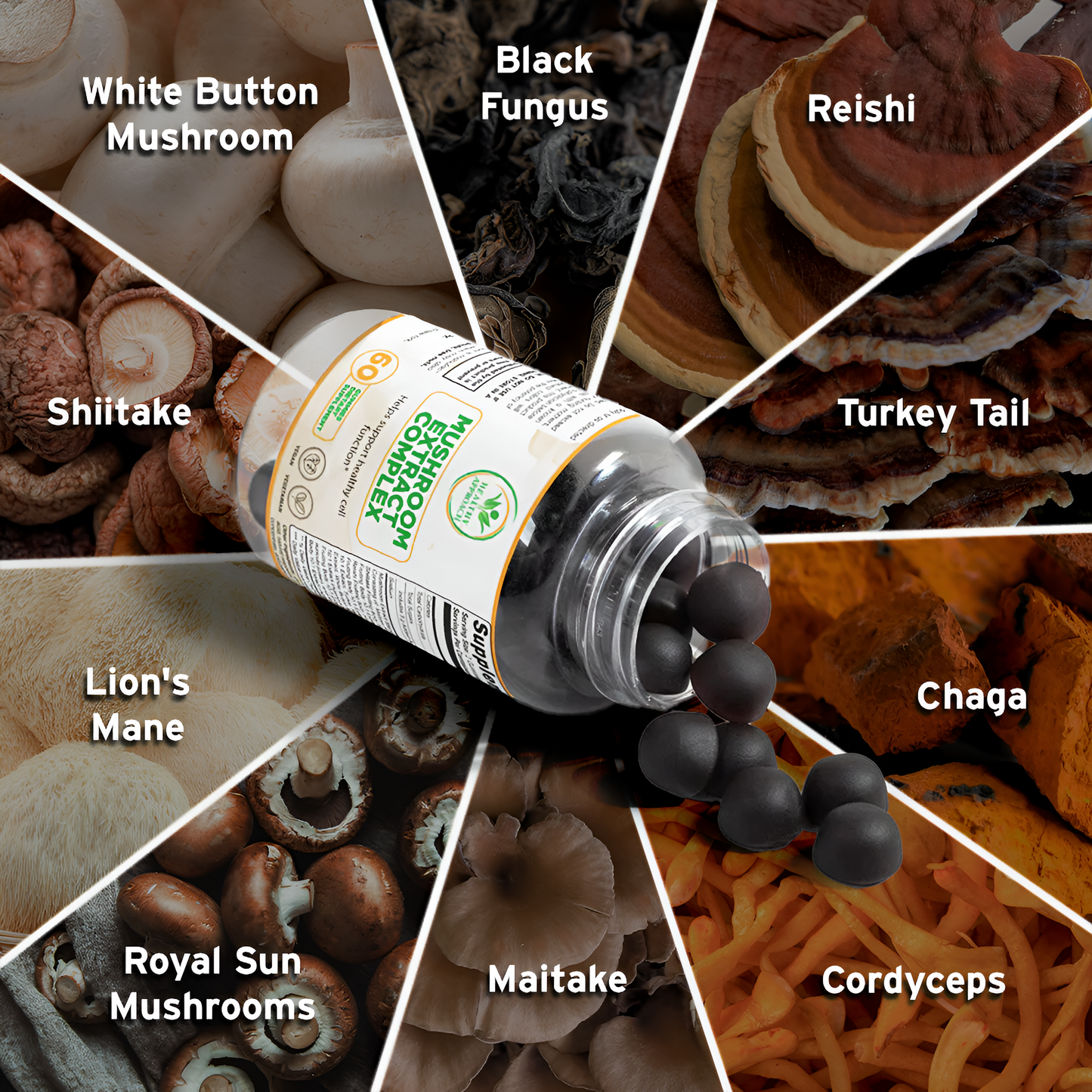 Mushroom Extract Complex